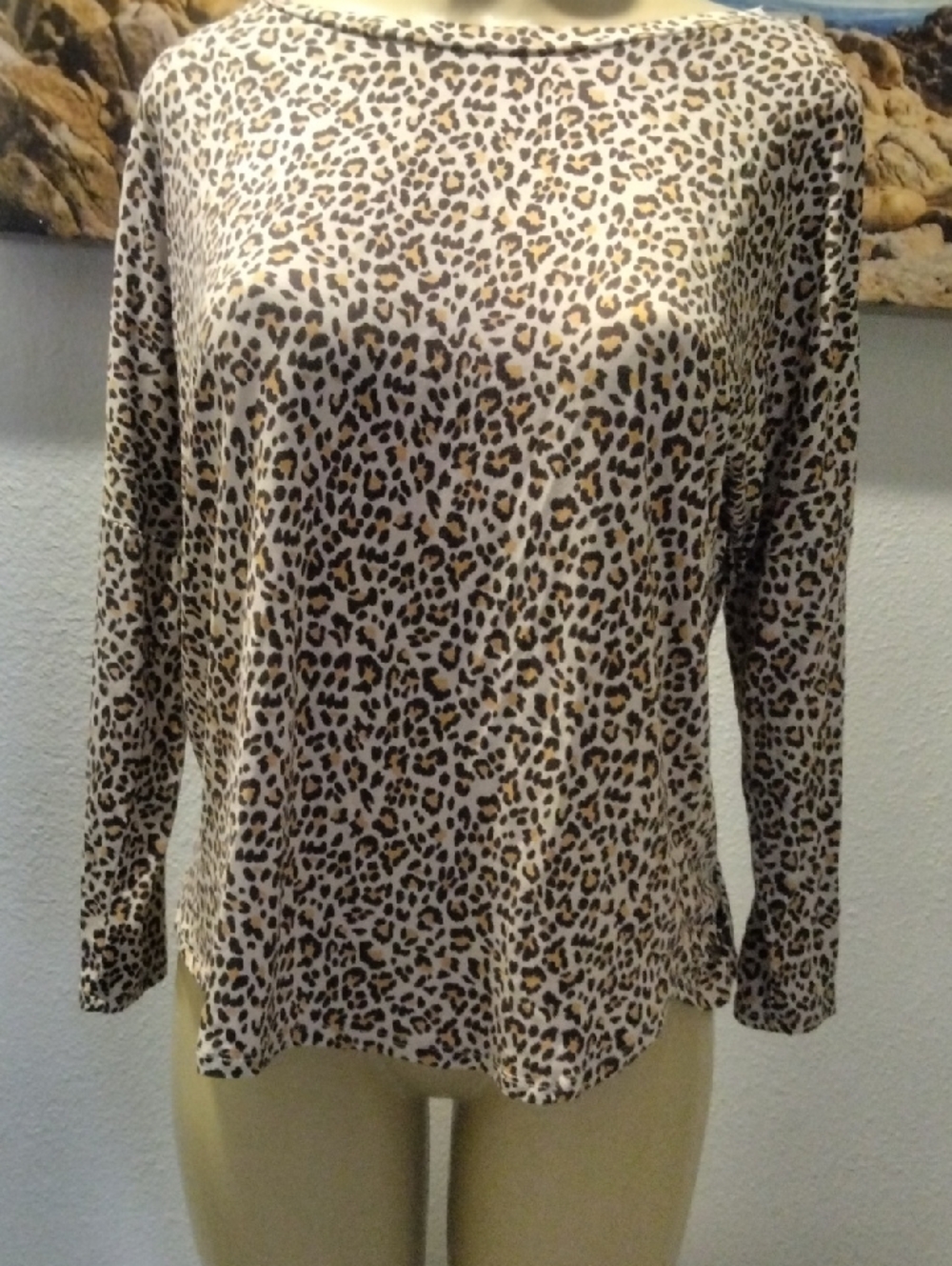 Flora Nikrooz Leopard Print Long Sleeve Top - Beige, Brown